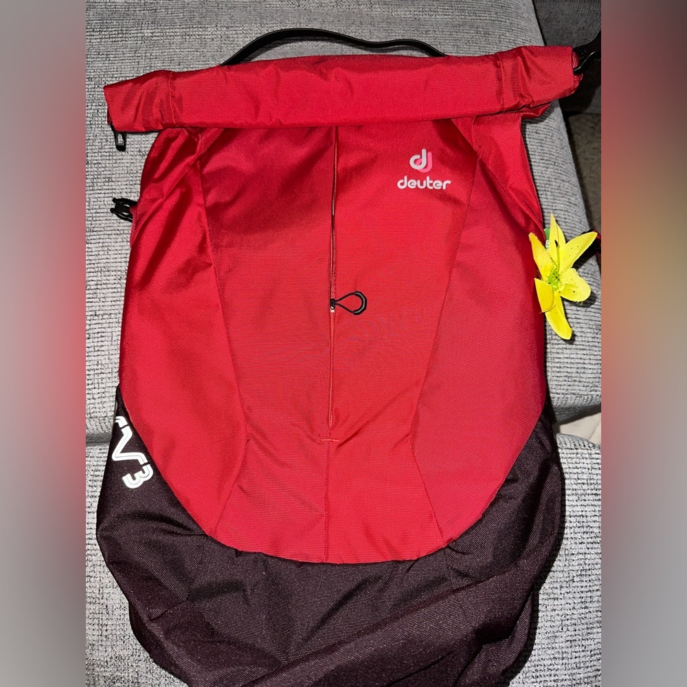 Deuter Backpack Red